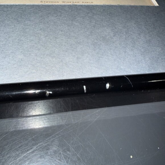 Stayman Winesap Apple 1902 Antique USDA Fruit Lithograph Print Framed Botanical - Picture 2 of 16